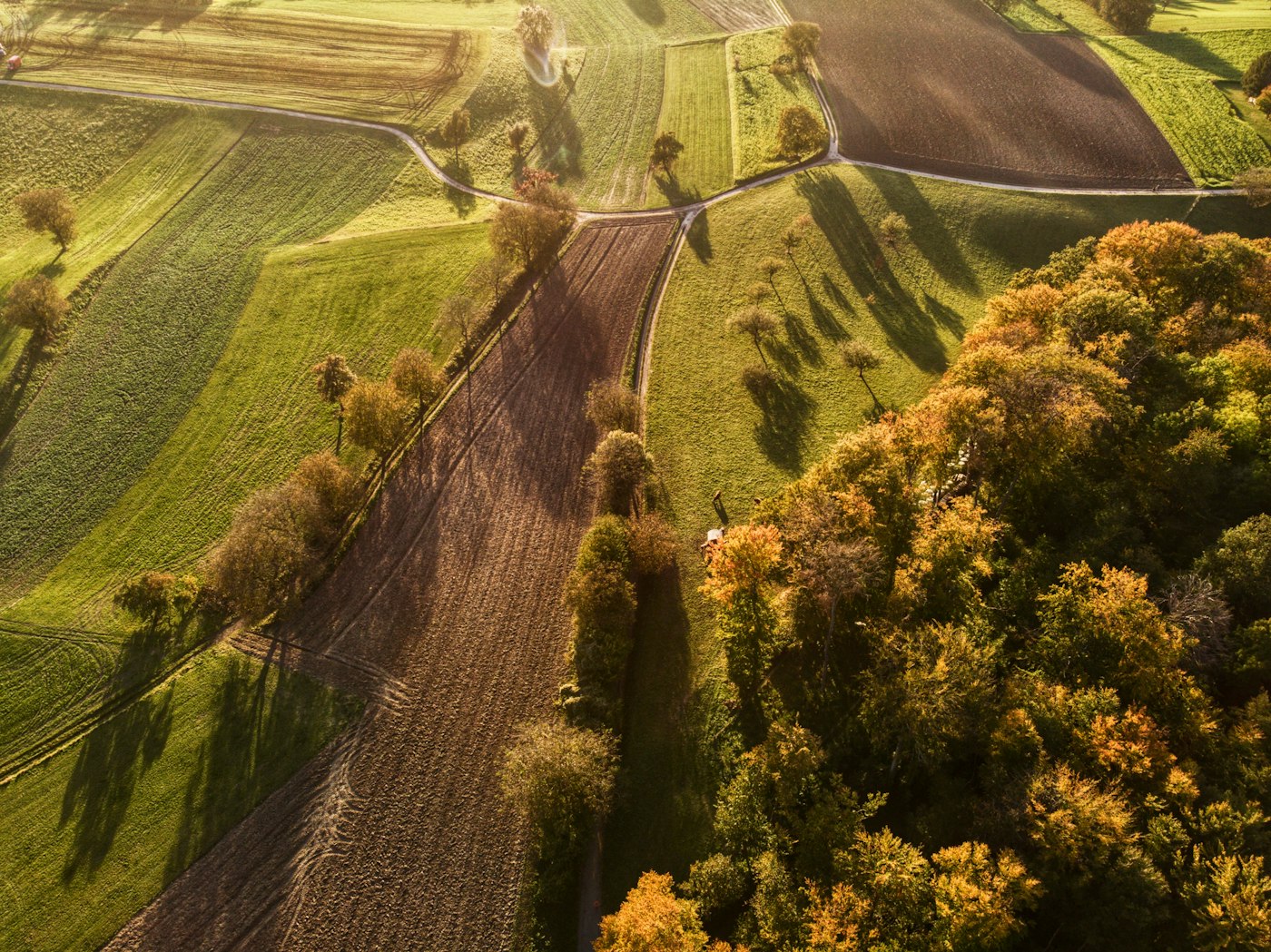 Landstraße führt durch weite Ackerflächen im Münsterland, Luftaufnahme