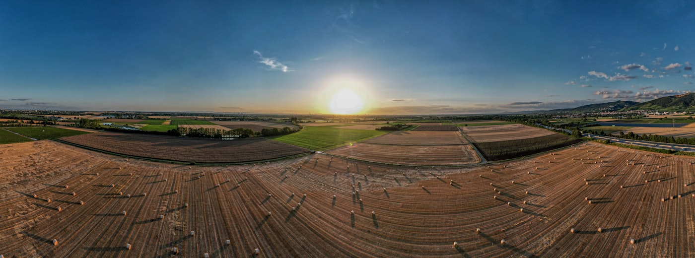 Weites Feld in der Abendsonne mit langen Schatten